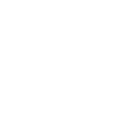 Digestion & Liver Tonic